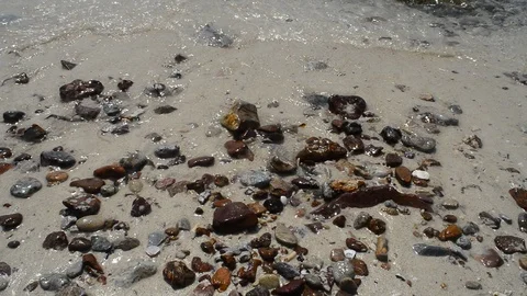 Sandy beach Stock Footage 115562989