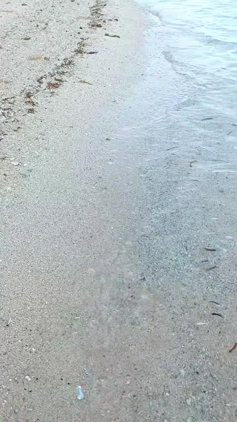 Sandy beach Stock Footage 240631649