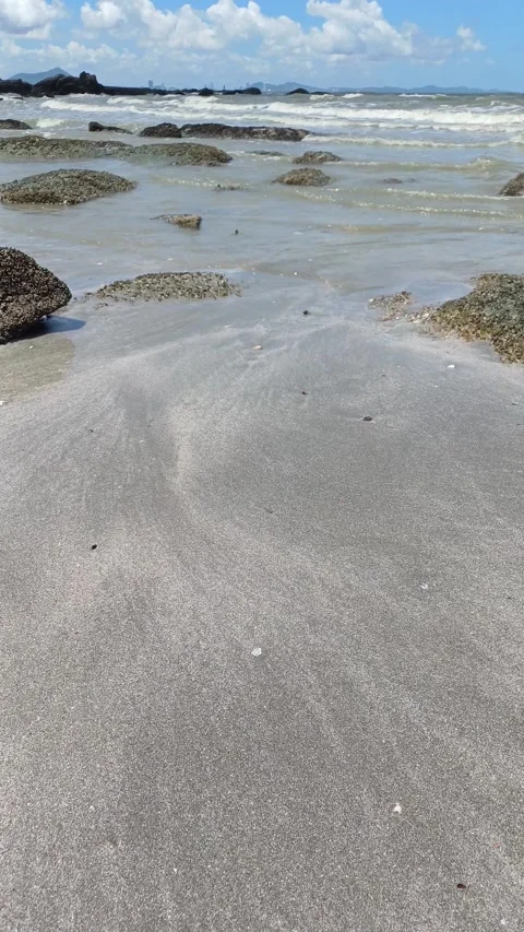 By the sandy beach Stock Footage 276877233