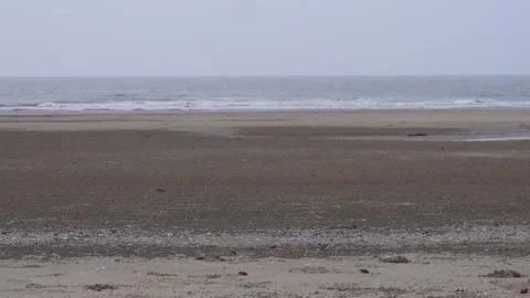 Sandy Beach Stock-Footage 336700184