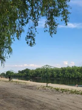 Sandy Beach with Forest on Horizon Stock Photos