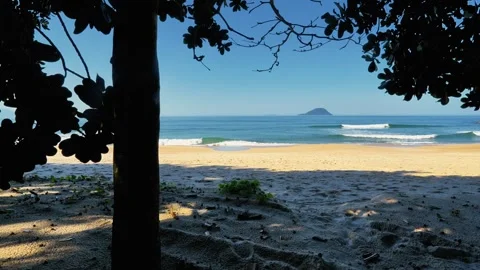 Sandy Beach Framed by Tree Silhouettes with Distant Island and Waves Stock-Footage 343445562