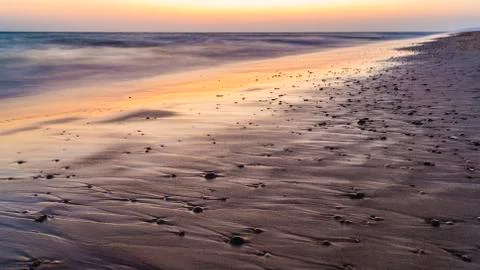 Sandy beach full of shells at sunset Stock Photos