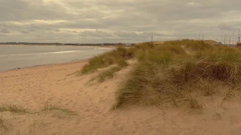 Sandy beach with green grass in cloudy weather Stock Footage 127953162