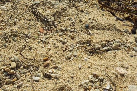 Sandy beach ground with pebbles and dried seaweed Stock Photos