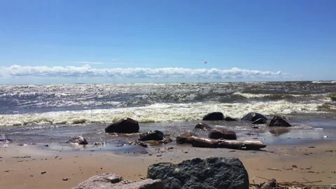 Sandy beach on the Gulf of Finland during a strong wind. High waves Stock Footage 207682185