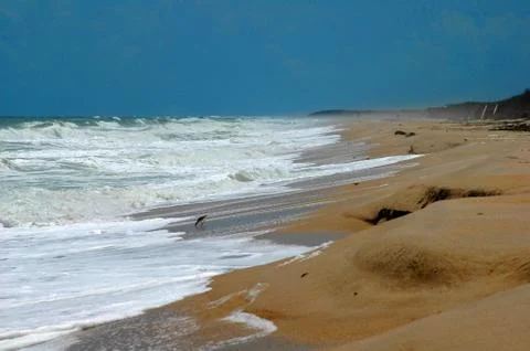 Sandy beach high tide Fotos Stock
