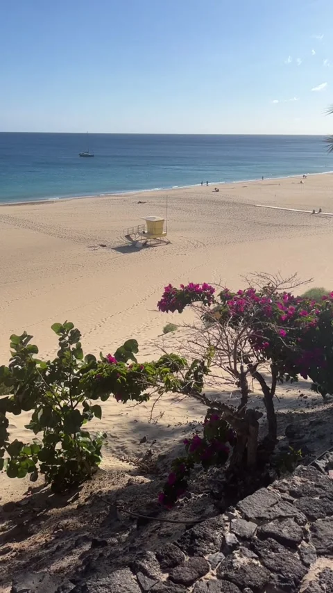Sandy beach lifeguard tower pink flowers ocean view Fuerteventura HD vertical Stock-Footage 342027776