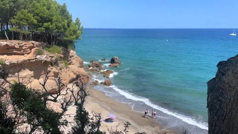 Sandy  beach lined with pine trees near Miami Platja, Spain Stock Footage 344391642
