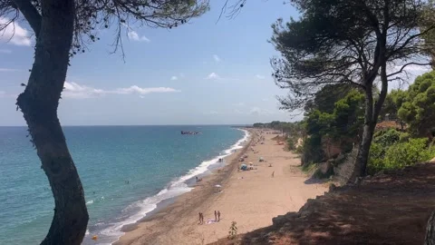 Sandy  beach lined with pine trees near Miami Platja, Spain Stock Footage 344391653