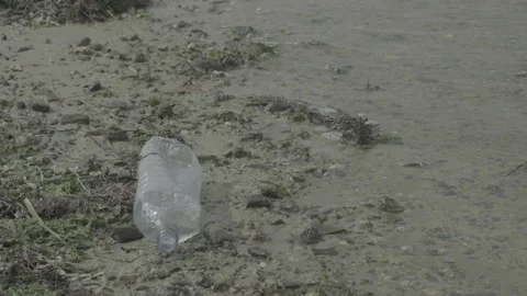 A sandy beach littered with a plastic bottle Stock Footage 243033457