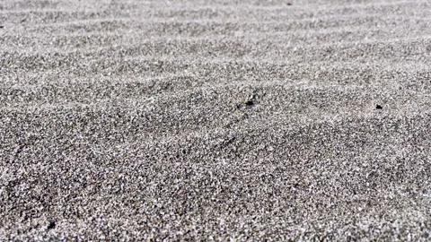 A sandy beach with a lot of sand Stock Footage 295897507