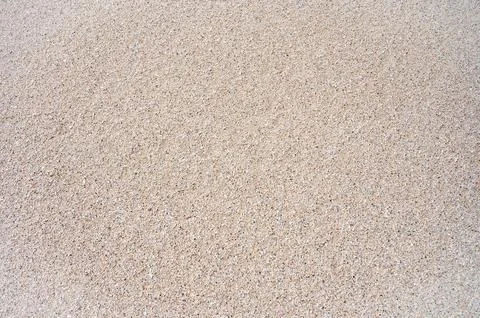 .Sandy beach with a lot of shells. Stock Photos