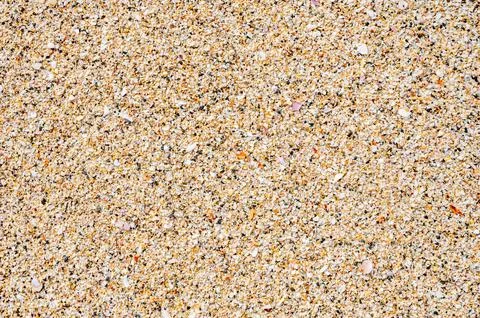 .Sandy beach with a lot of shells. Stock Photos