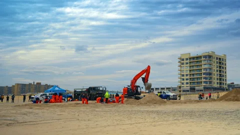 Sandy beach with lots of people working on. Scientists explore the dead whale at Stock Footage 333844061