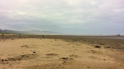 Sandy beach from low angle, Oregon Coast Stock Footage 55213032