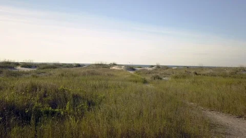 Sandy beach low flying early morning - beach grass - Drone 4K Video stock 111672502