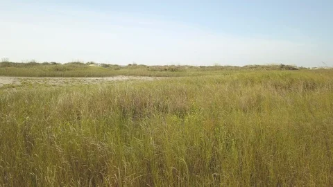 Sandy beach low flying early morning - beach grass - Drone 4K Video stock 111675153