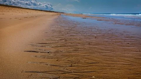 Sandy beach at low tide Stock Photos