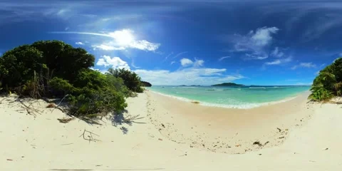 Sandy beach with lush greenery. La Digue, Seychelles. Stock Footage 301162169