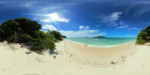Sandy beach with lush greenery. La Digue, Seychelles. Stock Footage 310822426