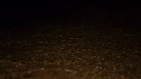 Sandy beach. Night. Surf the Wave Wets the Sand and Shell 스톡 동영상 69221154