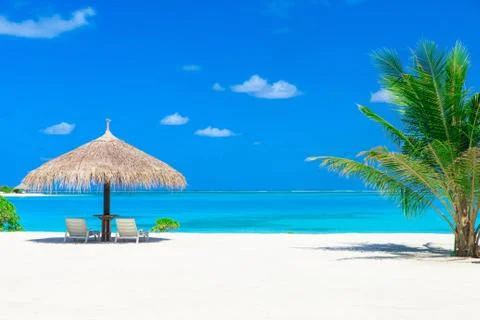 Sandy beach on the ocean. Stock Photos