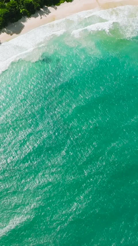 Sandy beach with ocean surf and waves. Seychelles, Mahe. Stock Footage 302771252