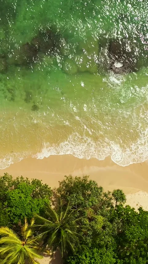 Sandy beach with ocean surf and waves. Sri Lanka. Stock Footage 342705814