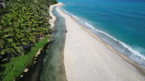 Sandy beach with palm trees along a curving shoreline, aerial view Stock Footage 278369015