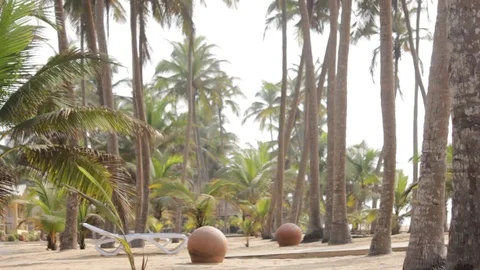 Sandy beach with palm trees and clay pots blowing the wind Vídeos de archivo 111249701