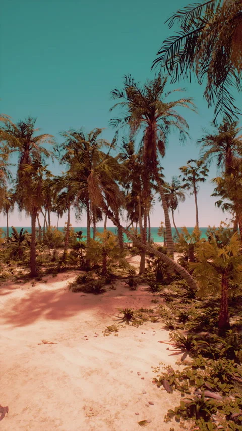 Sandy Beach With Palm Trees and Ocean Vidéo 273709181