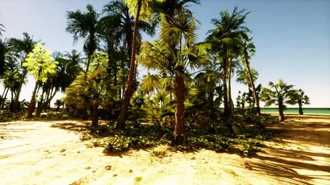 A sandy beach with palm trees and the ocean in the background Stockillustratie