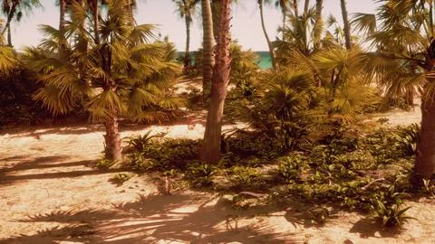 A sandy beach with palm trees and the ocean in the background Stock Illustration