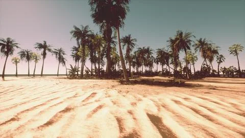 A sandy beach with palm trees and a blue sky Stock Illustration