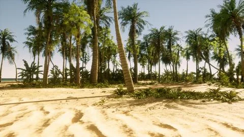 A sandy beach with palm trees and the ocean in the background Illustration