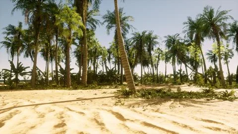 A sandy beach with palm trees and a blue sky Ilustración de archivo