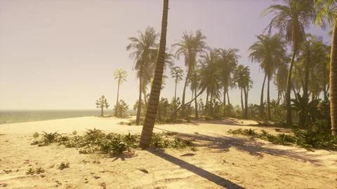 A sandy beach with palm trees and the ocean in the background Stock Illustration
