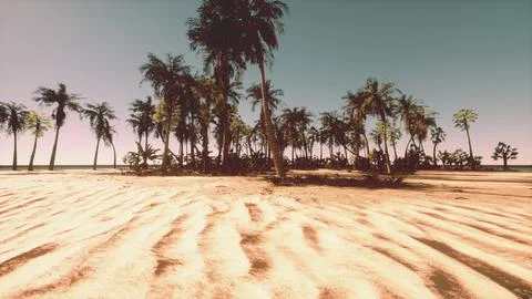 A sandy beach with palm trees and a blue sky イラスト素材