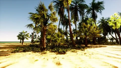 A sandy beach with palm trees and the ocean in the background Illustrazione stock