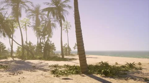 A sandy beach with palm trees and the ocean in the background 库存插图