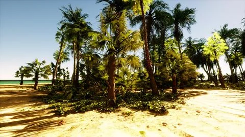 A sandy beach with palm trees and the ocean in the background Ilustración de archivo