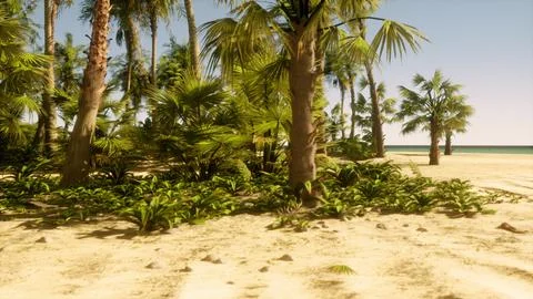 A sandy beach with palm trees and the ocean in the background Ilustración de archivo