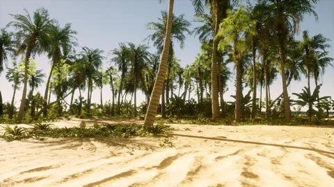 A sandy beach with palm trees and a blue sky Ilustración de archivo