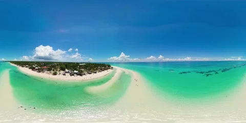 Sandy beach with palm trees. Monoscopic image. 8k video. Stock Footage 231662654