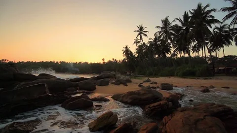 Sandy beach with palm trees at sunset Stockbeeldmateriaal 72522203