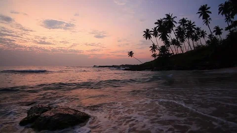 Sandy beach with palm trees at sunset Stock-Footage 72524450