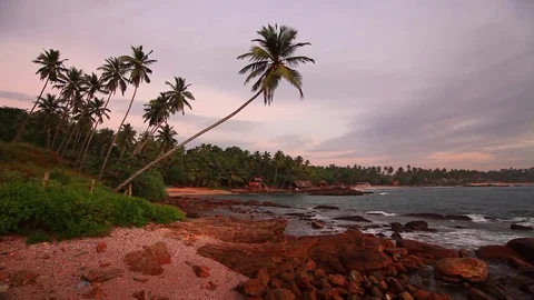 Sandy beach with palm trees at sunset Stock-Footage 73564612