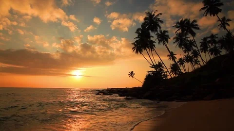 Sandy beach with palm trees at sunset 库存影片 73565751