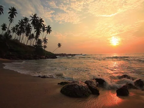 Sandy beach with palm trees at sunset Video stock 80448036